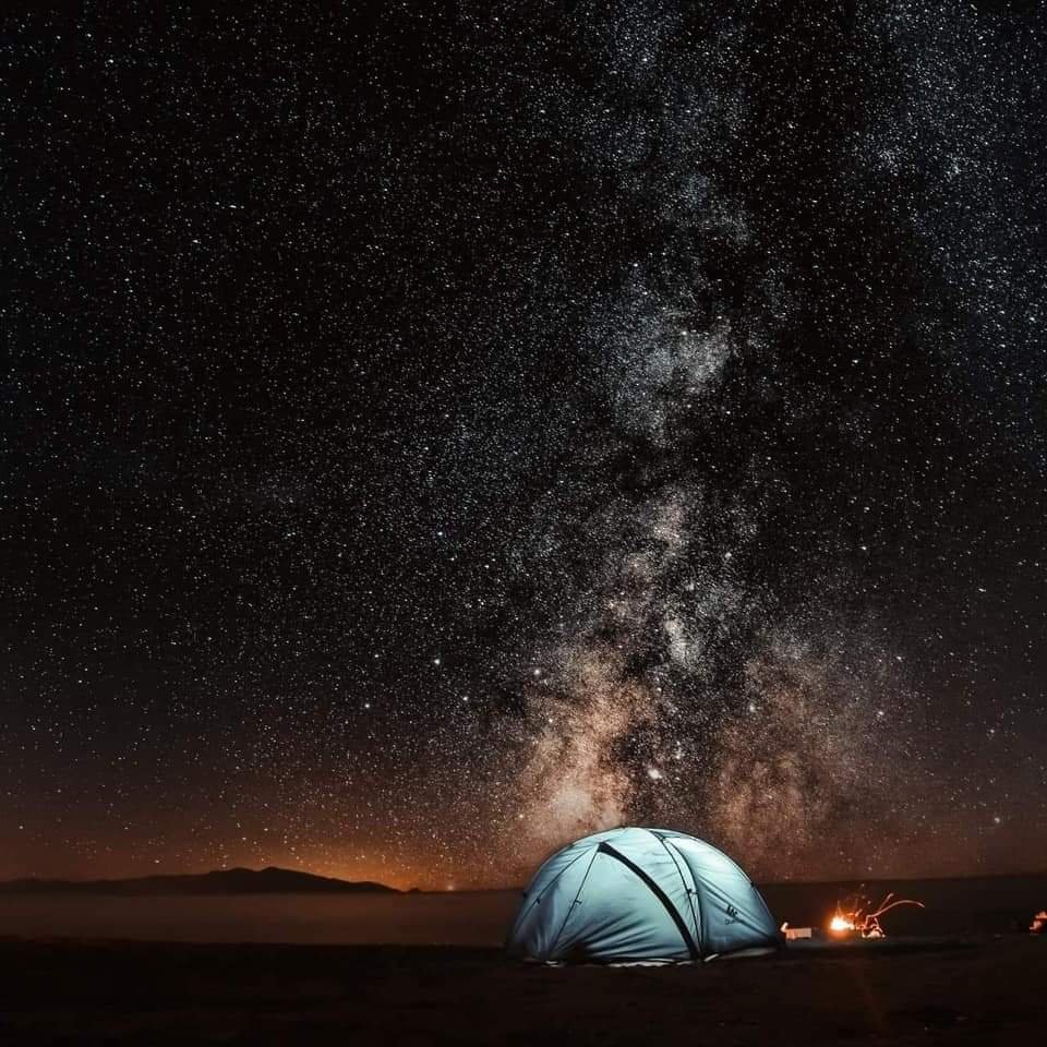 Guests in the White Desert