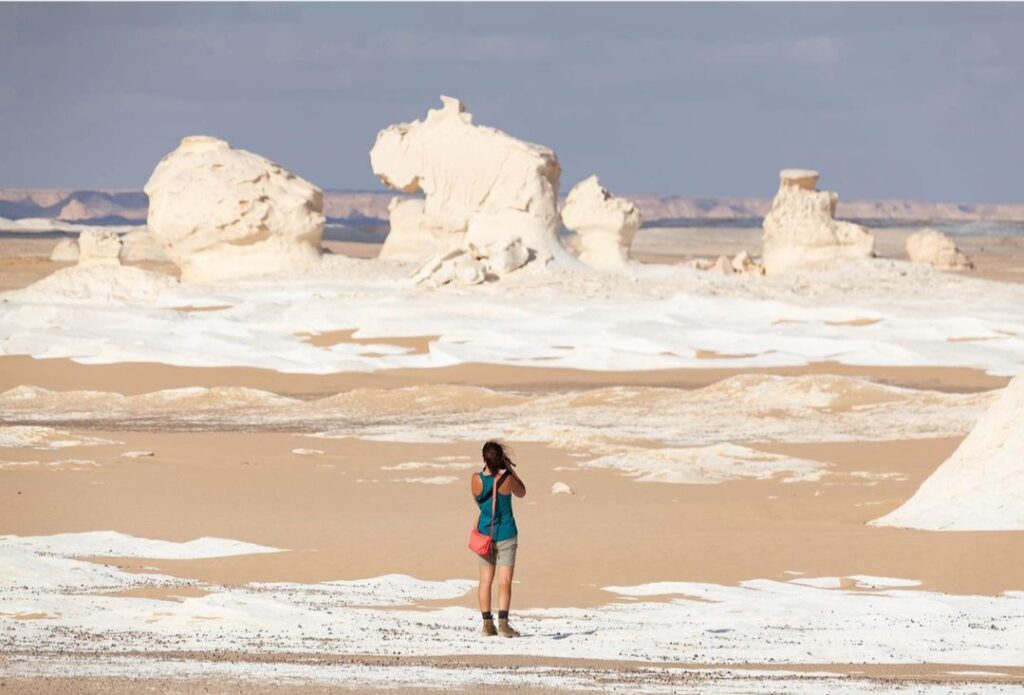 desert tour cairo